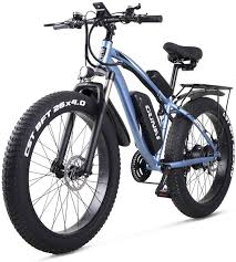 1000W Electric Bike