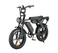 250W Electric Bike