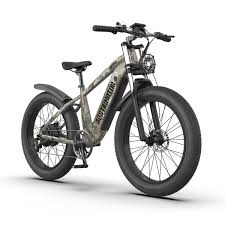 Best Fat Tire Electric Bike 2019