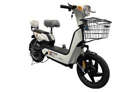 Budget Electric Bike