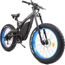 Ecotric Electric Bike