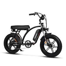 Electric Assist Bikes