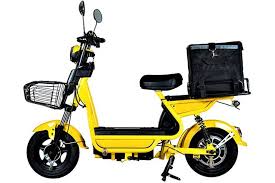 Electric Bike Rental