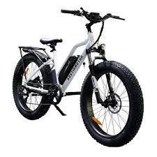 Electric Bike Sales Near Me