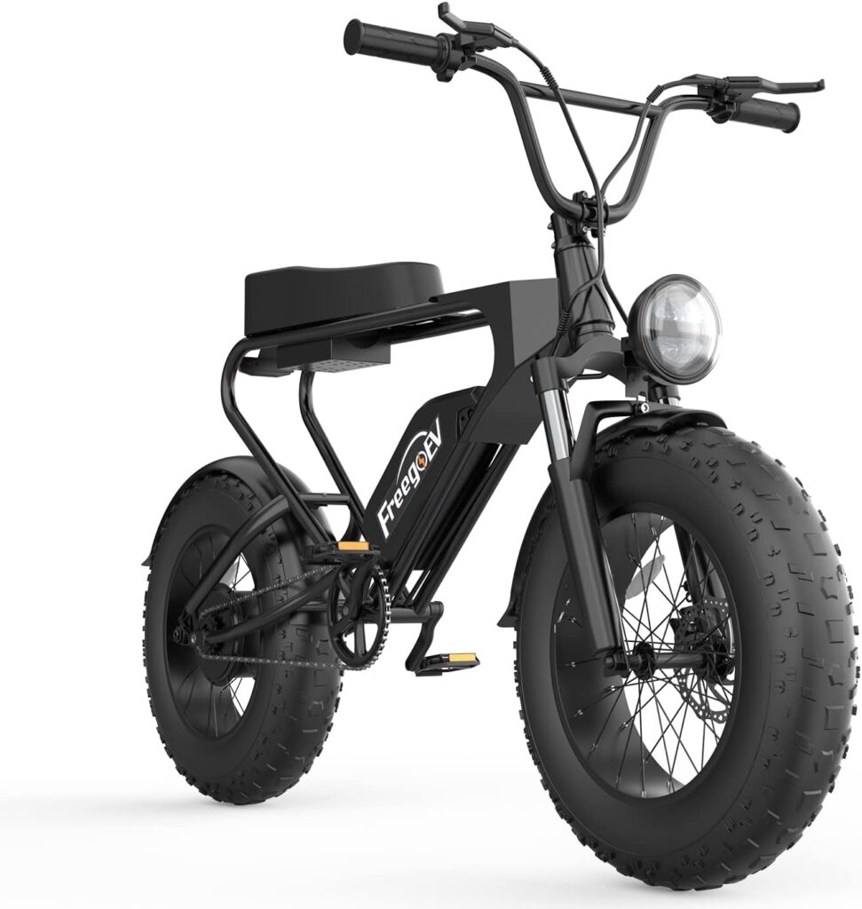 Electric Bikes