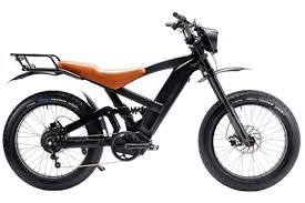 Electric Fat Bike