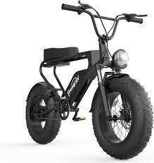 Electric Fat Tire Bike