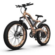 Electric Mountain Bike Fat Tire