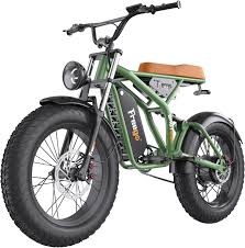 Fat Tire Electric Bike