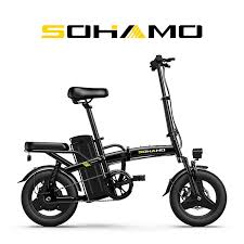 Folding Electric Bike