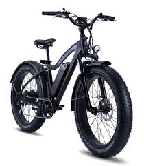 Rad Electric Bike