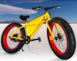 Sondors Electric Bike Lawsuit