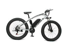 Electric Fat Bikes For Sale