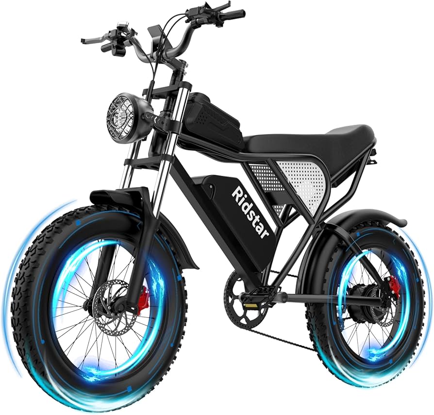 20 Fat Tire Electric Bike