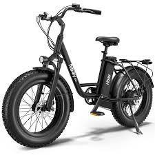 20 Inch Fat Tire Electric Bike