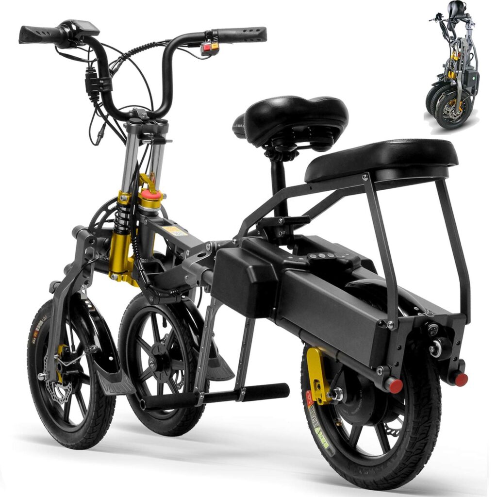 3 Wheeled Electric Bike