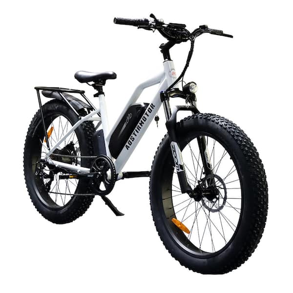 Adult Electric Bike