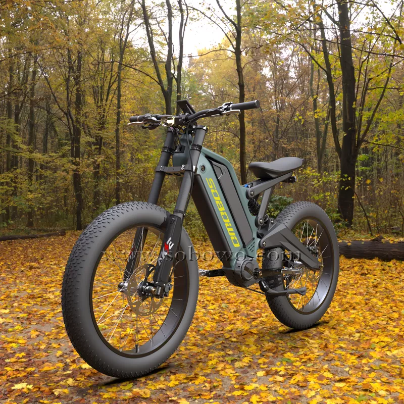 Electric Fat Bike Mid Drive