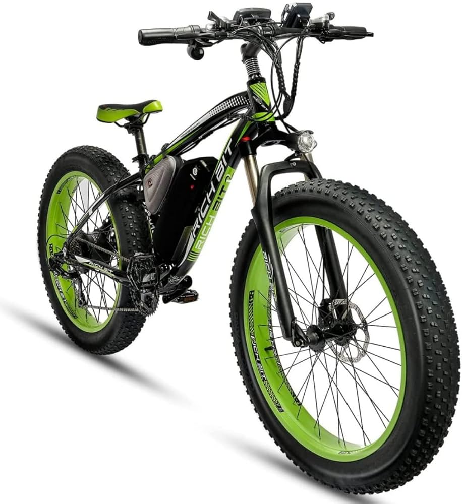 Rich Bit Electric Bike